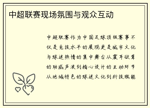 中超联赛现场氛围与观众互动