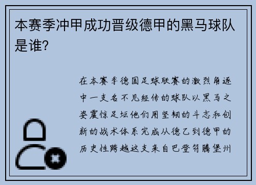 本赛季冲甲成功晋级德甲的黑马球队是谁？